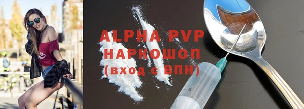 индика Пересвет