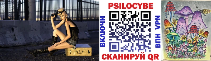 omg онион  Кадников  Галлюциногенные грибы Psilocybine cubensis 
